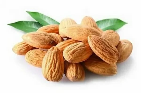 تصویر 5 از خرید بادام سنگی درجه یک + قیمت فروش استثنایی